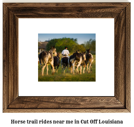 horse trail rides near me in Cut Off, Louisiana